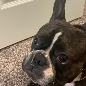 Meet your Posher, Taylor